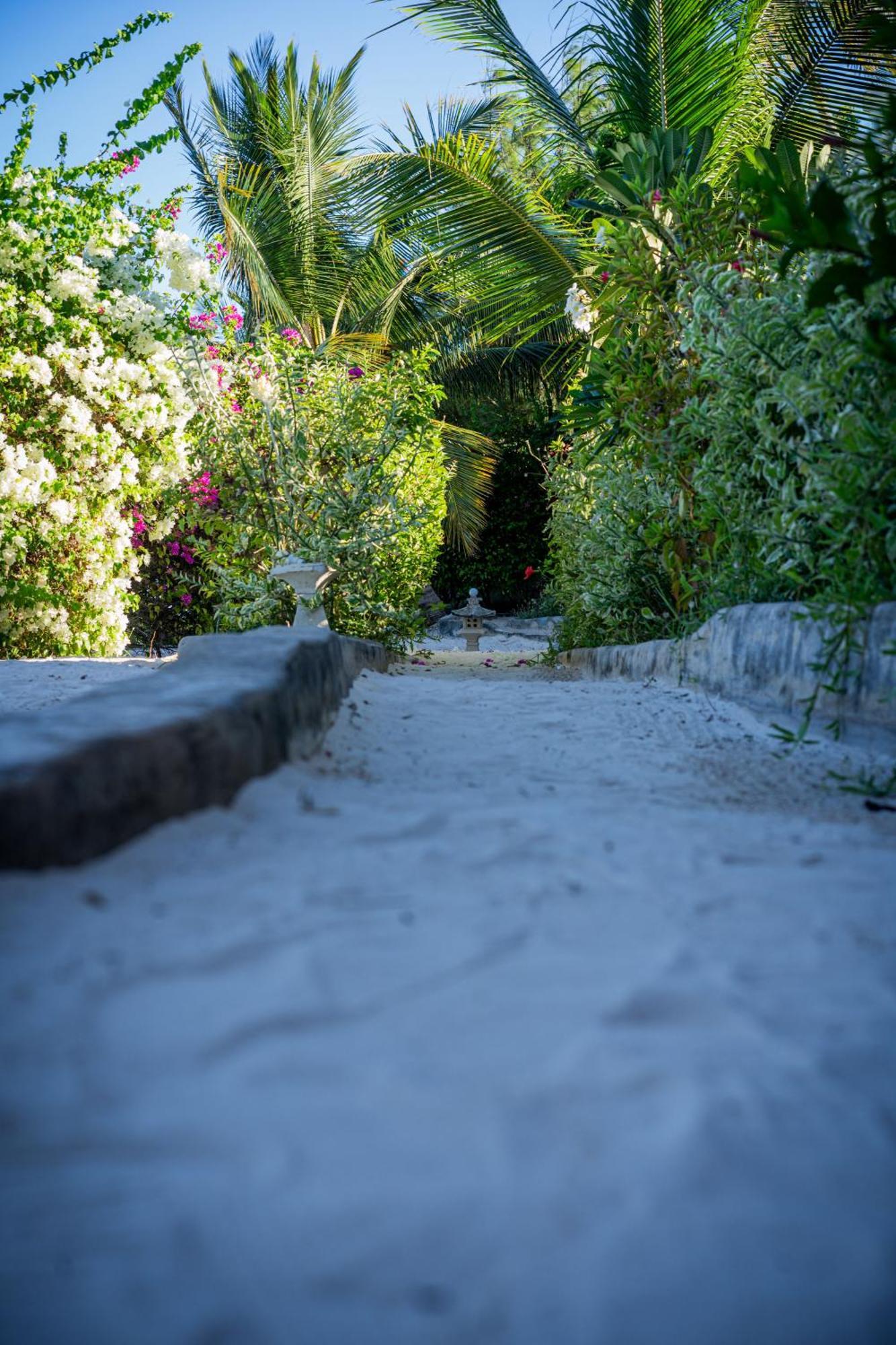 Jafferji Beach Retreat, Hotel Matemwe  Exterior foto